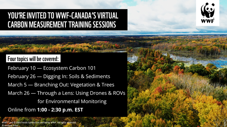Through a Lens: Using Drones &amp; ROVs for Environmental Monitoring